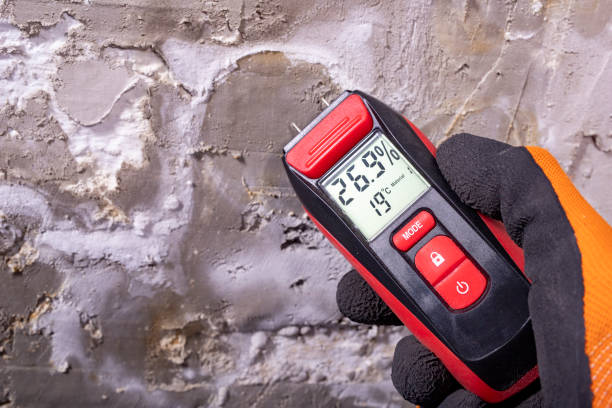 Best Professional Mold Removal  in Easton, PA